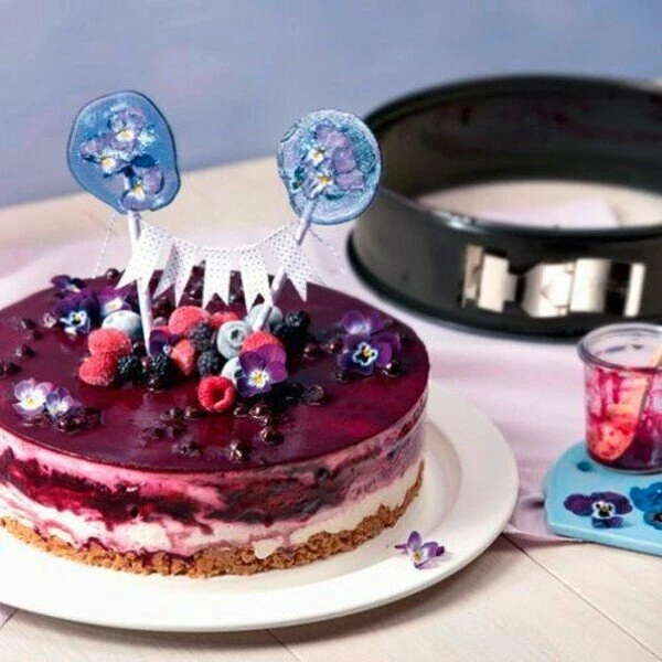 Kaiser Springform Mit 2 Böden 26 Cm La Forme Plus – Bild 2